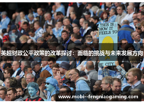 英超财政公平政策的改革探讨:面临的挑战与未来发展方向 英超财政公平政策的改革探讨:面临的挑战与未来发展方向