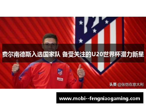 费尔南德斯入选国家队 备受关注的U20世界杯潜力新星