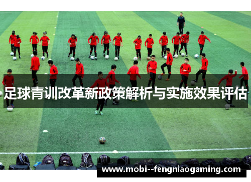 足球青训改革新政策解析与实施效果评估 足球青训改革新政策解析与实施效果评估