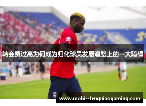 转会费过高为何成为归化球员发展道路上的一大障碍 转会费过高为何成为归化球员发展道路上的一大障碍