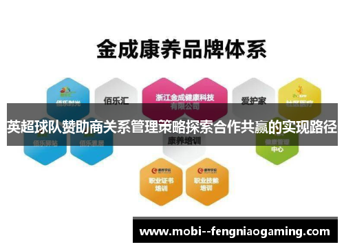 英超球队赞助商关系管理策略探索合作共赢的实现路径