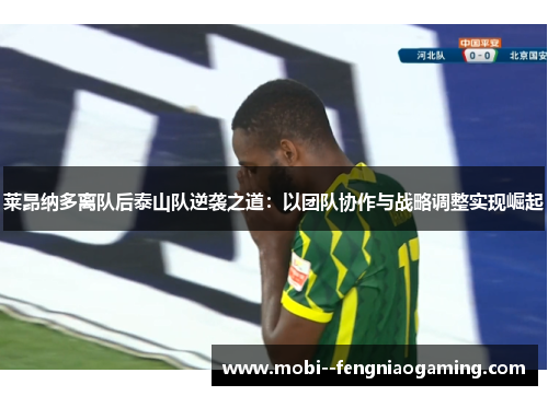 莱昂纳多离队后泰山队逆袭之道：以团队协作与战略调整实现崛起