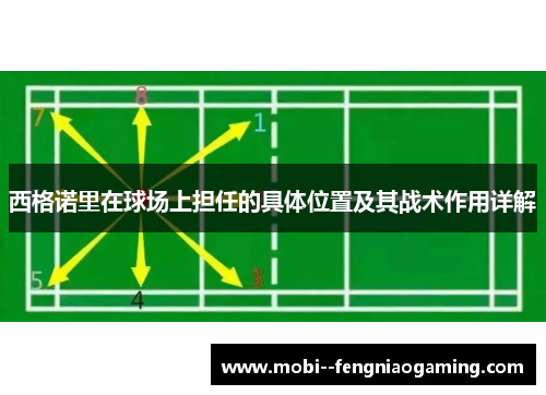 西格诺里在球场上担任的具体位置及其战术作用详解 西格诺里在球场上担任的具体位置及其战术作用详解