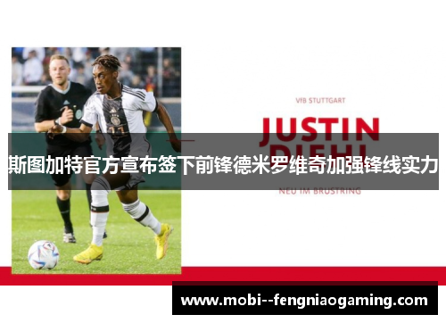 斯图加特官方宣布签下前锋德米罗维奇加强锋线实力 斯图加特官方宣布签下前锋德米罗维奇加强锋线实力