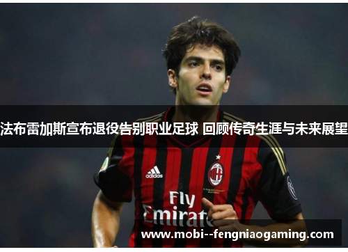 法布雷加斯宣布退役告别职业足球 回顾传奇生涯与未来展望 法布雷加斯宣布退役告别职业足球 回顾传奇生涯与未来展望