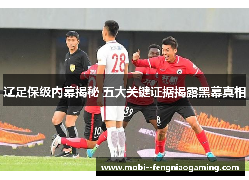 辽足保级内幕揭秘 五大关键证据揭露黑幕真相 辽足保级内幕揭秘 五大关键证据揭露黑幕真相