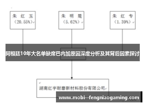 阿根廷10年大名单缺席巴内加原因深度分析及其背后因素探讨