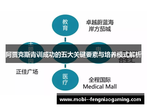 阿贾克斯青训成功的五大关键要素与培养模式解析