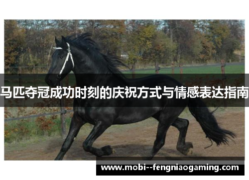 马匹夺冠成功时刻的庆祝方式与情感表达指南