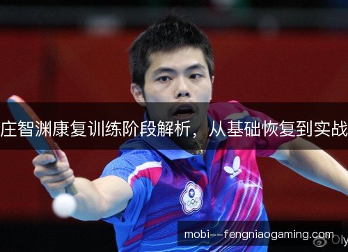 庄智渊康复训练阶段解析,从基础恢复到实战 庄智渊康复训练阶段解析,从基础恢复到实战